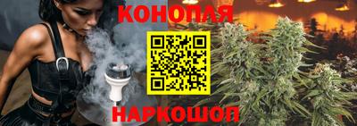 бошки Можга