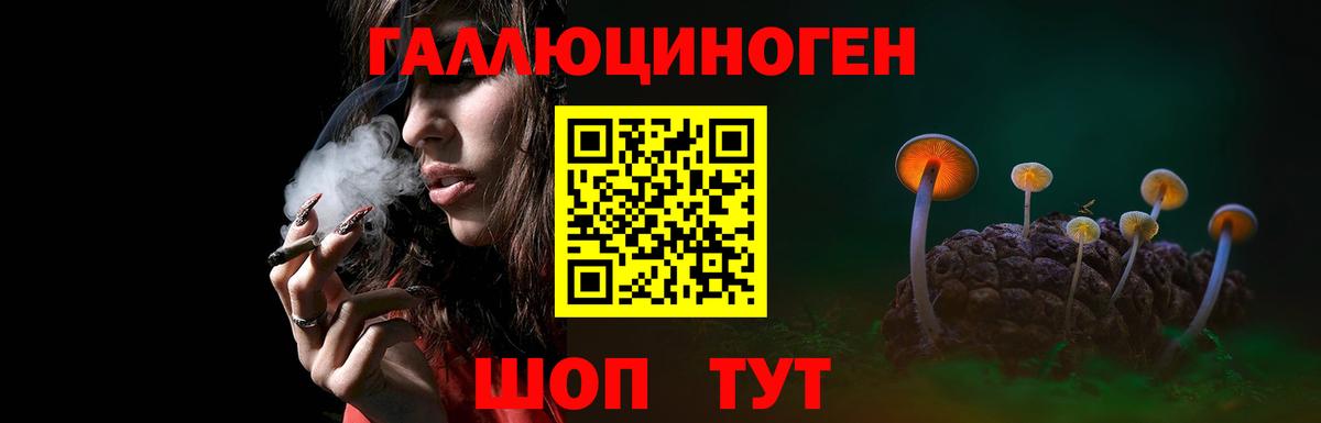Видное  купить наркотик  Вход с VPN  Галлюциногенные грибы MAGIC MUSHROOMS 